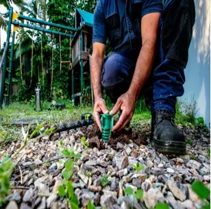 A termite bait station being set into the ground beside a house