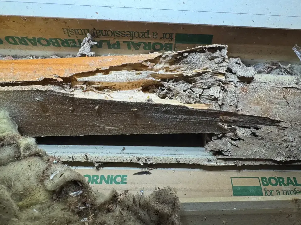 Decayed timber beam with water damage and damaged insulation