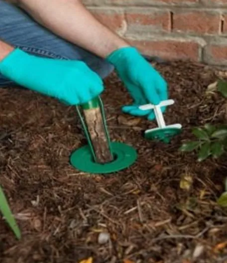 A Sentricon termite bait station set in garden mulch