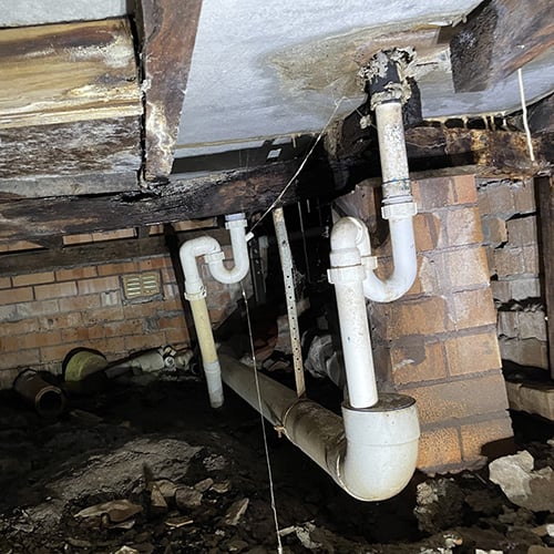 Home &raquo; pest inspections